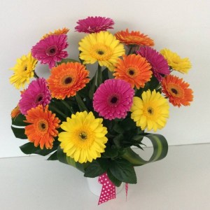 a brightly coloured arrangement of gerberas in pink, yellow and orange