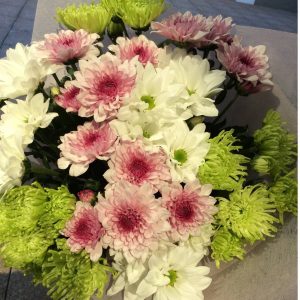 a hand tied bouquet of daisy chrysanthemums in pink, white and green.