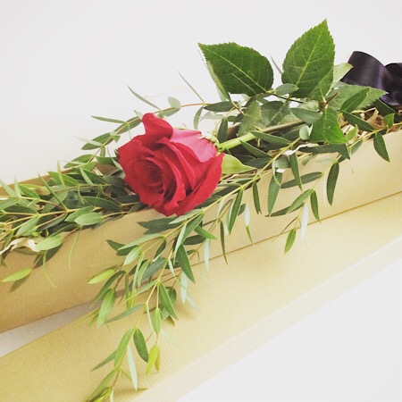 A single Red Rose in a presentation box