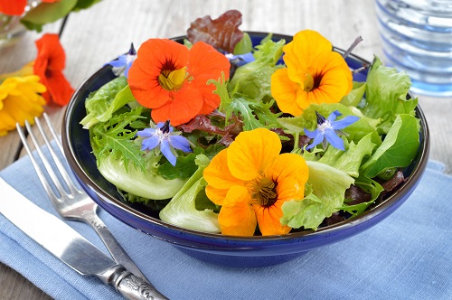 Edible Flowers Make a Comeback Amongst Foodies