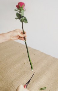 Cut stems on an angle - A Touch of Class Florist