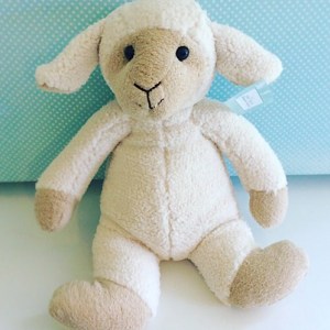 Sophie Sheep by Nana Huchy is a soft and adorable toy approximately 35cm head to toe - A Touch of Class Florist Perth
